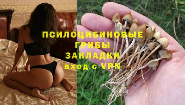 винт Арсеньев