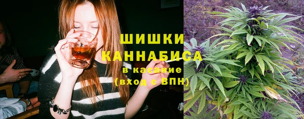 винт Арсеньев