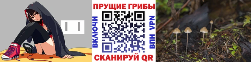 Галлюциногенные грибы Cubensis  shop официальный сайт  Мензелинск 